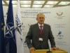 Spring plenary session of the NATO Parliamentary Assembly in Vilnius finalized 